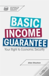 Basic Income Guarantee