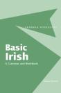 Basic Irish: A Grammar And Workbook - Preview