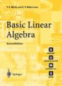 Basic Linear Algebra - Preview