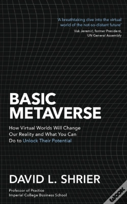 Capa do artigo Basic Metaverse