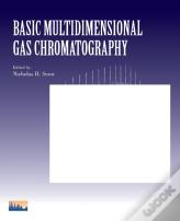 Basic Multidimensional Gas Chromatography