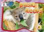 Basic Needs - Preview