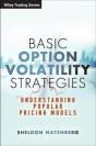 Basic Option Volatility Strategies - Preview
