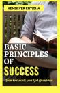 Basic Principles Of Success - Preview