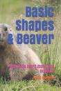 Basic Shapes & Beaver - Preview