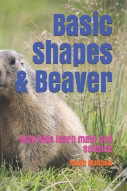 Capa do artigo Basic Shapes & Beaver