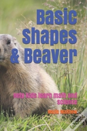 Capa do artigo Basic Shapes & Beaver