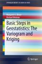 Basic Steps In Geostatistics: The Variogram And Kriging - Preview