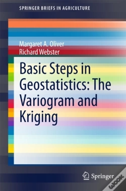 Capa do artigo Basic Steps In Geostatistics: The Variogram And Kriging