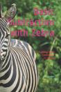 Basic Subtraction With Zebra - Preview