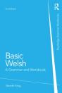Basic Welsh - Preview