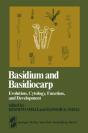 Basidium And Basidiocarp - Preview