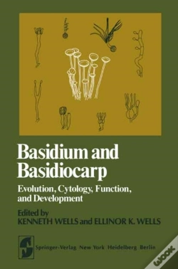 Capa do artigo Basidium And Basidiocarp