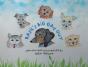 Basil'S Big Day Out - Preview