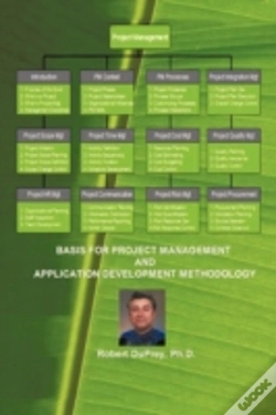 Capa do artigo Basis For Project Management And Application Development Methodology