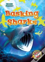 Basking Sharks