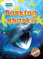 Basking Sharks - Preview