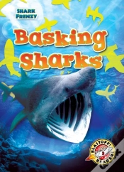 Capa do artigo Basking Sharks