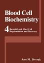 Basophil And Mast Cell Degranulation And Recovery - Preview