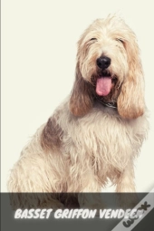 Basset Griffon Vendeen