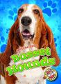 Basset Hounds - Preview