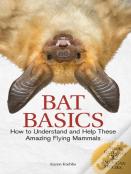 Bat Basics