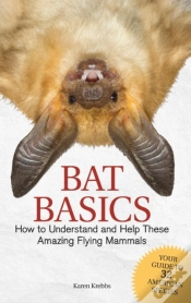 Capa do artigo Bat Basics