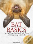 Bat Basics