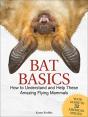 Bat Basics - Preview