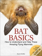 Capa do artigo Bat Basics