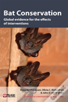 Bat Conservation