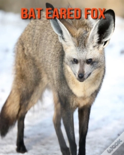 Capa do artigo Bat Eared Fox
