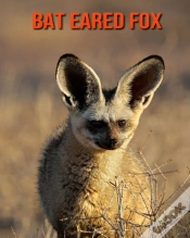 Capa do artigo Bat Eared Fox
