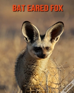 Capa do artigo Bat Eared Fox