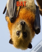 Capa do artigo Bat
