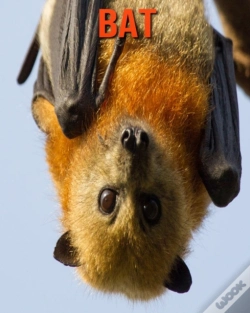 Capa do artigo Bat