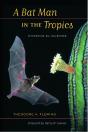 Bat Man In The Tropics - Preview