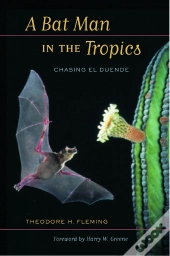 Bat Man In The Tropics