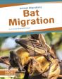 Bat Migration - Preview