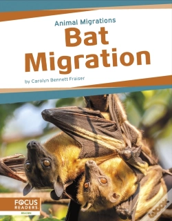Capa do artigo Bat Migration