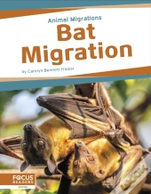 Bat Migration