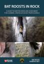 Bat Roosts In Rock - Preview