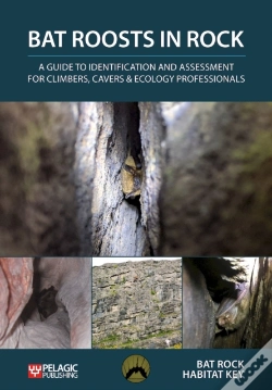 Capa do artigo Bat Roosts In Rock