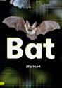 Bat (Set 02) - Preview