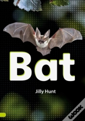 Capa do artigo Bat (Set 02)