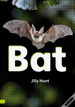 Capa do artigo Bat (Set 02)