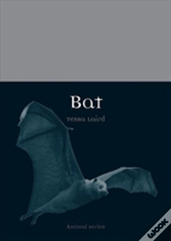 Capa do artigo Bat