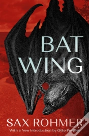 Capa do artigo Bat Wing