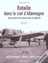 Bataille Dans Le Ciel D'Allemagne ; Une Escadre De Chasse Dans La Debacle