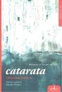 Batalla Al Borde De Una Catarata   - Preview